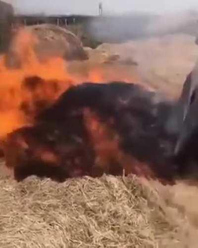 Car stuck, what could happen?