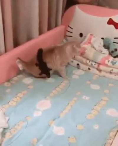 I can finally finally wrestle up to gargantuan creatures