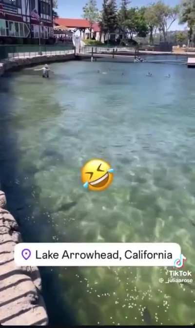 This lady doesn’t want all of the male ducks mating with the 1 female 😂