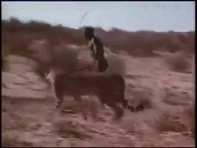 So hard to take cheetah players seriously.