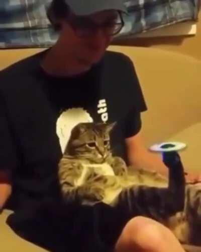 Uma dádiva dos ninjas