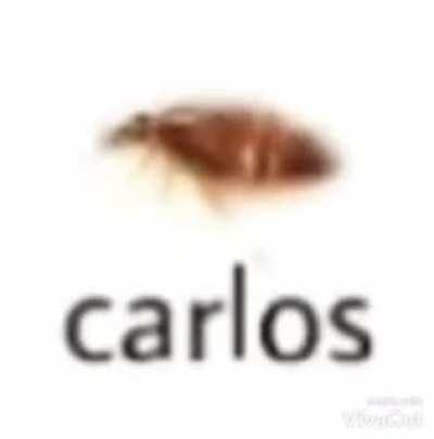 Blursed Carlos