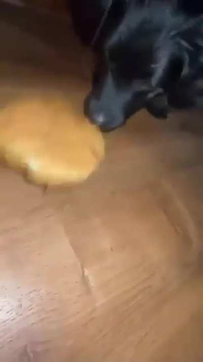 Wunks harassed by burger