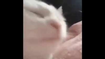 Me at the end of MvM.