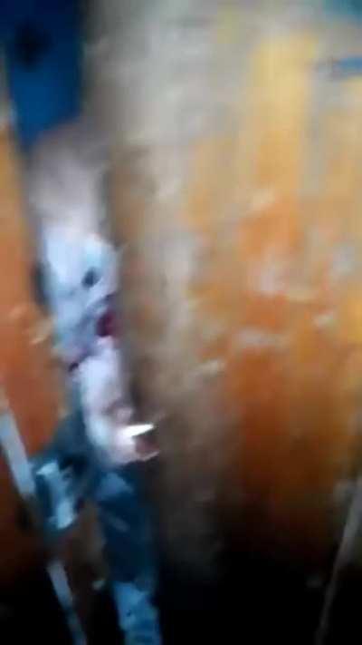 Rabies in a fox, like from Horror