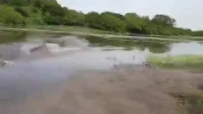 Случай на рыбалке