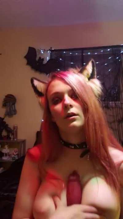 Fox Playing With Rex