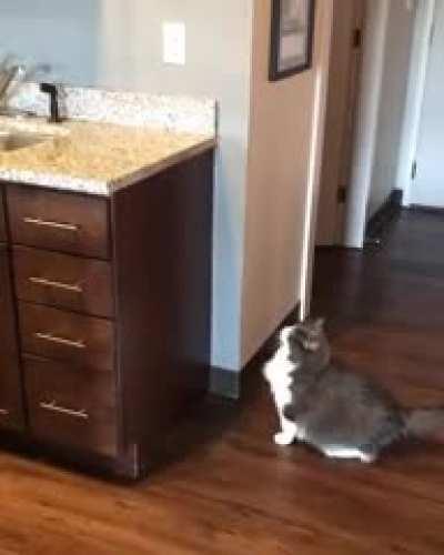 Back to the drawing board