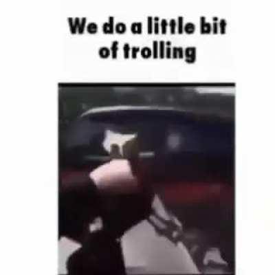 Normal day in Chicago 