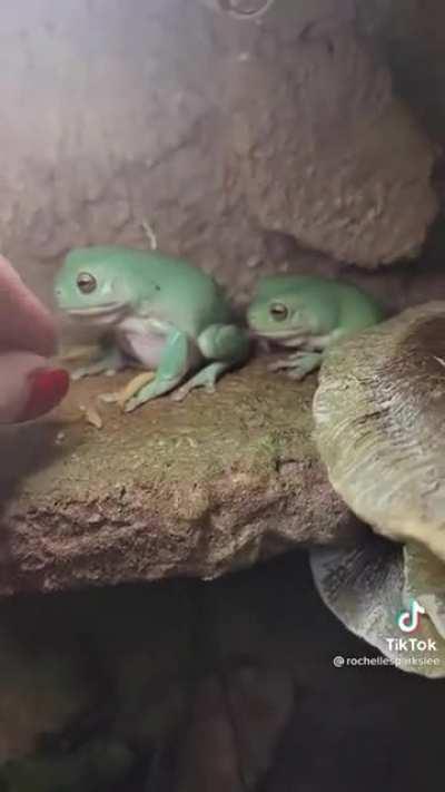 Millions of years of evolution has led to this