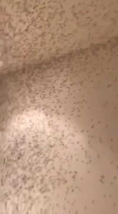 Maybe i should’ve closed the window.