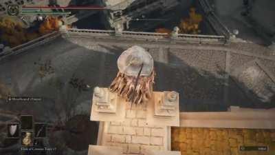 Elden Ring in 6 seconds.