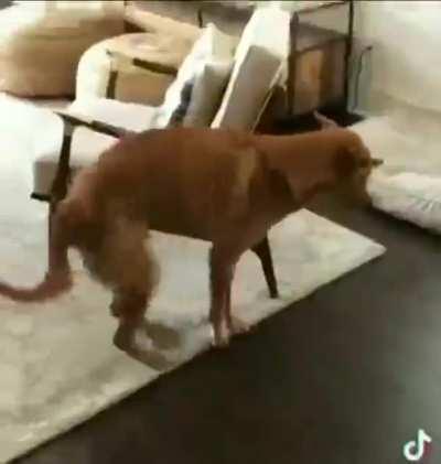 The air is his waifu.