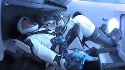 A dinosaur has made it into space