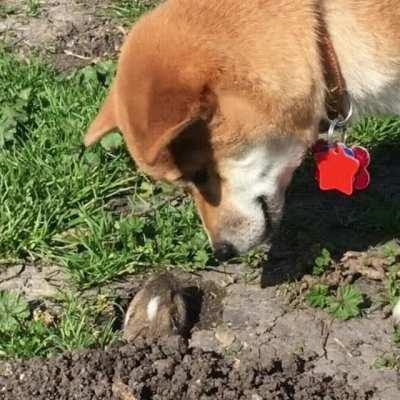 They Are Both Confused.