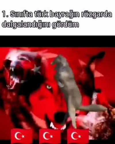 YİNE DE ŞAHLANIYOR AMAN...