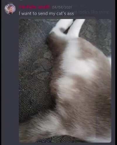 oh my god muddy what are you d