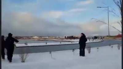 Ushuaienses rescataron a un lobito marino que salió de la bahia y cruzó la avenida