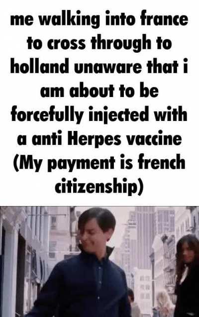 I had a dream I visited Europe and was crossing through France to get to the Netherlands, but I was pulled over and injected with something and then stared at this meme before waking up.