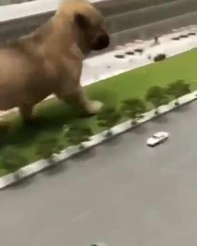 GiaNt DogZilla PuppY cauSing maSSive DesTruction