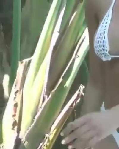 Caitlyn Mwenifumbo (@bby_cai)