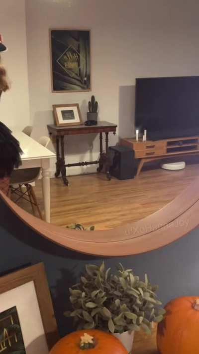 Can't wait for Halloween!🎃👻 And this is my plan how to celebrate🤪 What about you, gonna fuck some slutty witch?😜 Btw I already got his sweets on my titties, check on my OF😏