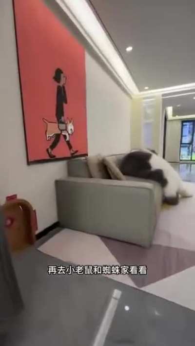 I have questions😂