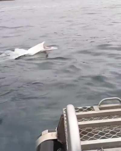 “Why don’t you tidy your room if you’re bored?” Me :