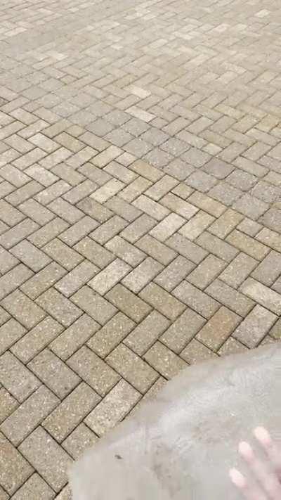 Ice from the top of my trash can