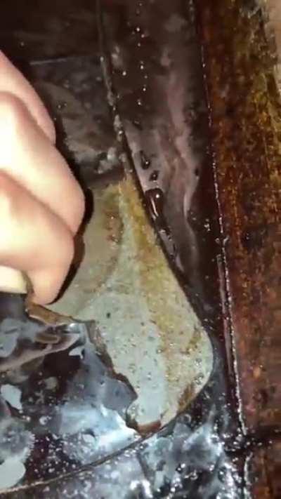 Boyfriend left bacon cooking while away on vacation (3 days)