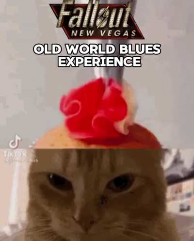 Lobotomite Behaviour