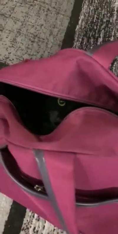 Murder caught on tape