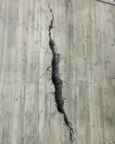 When broke isn’t really broken