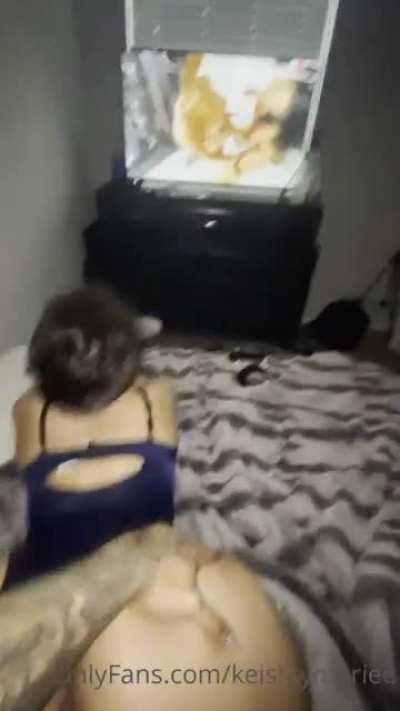 📂ki3shlym....damm