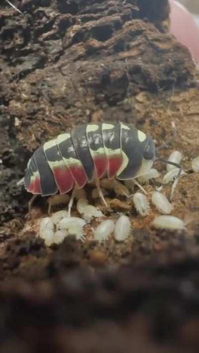 I caught them in a moment