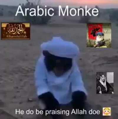 Arab monke