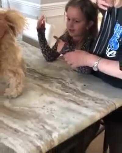 melhor mãe do mundo