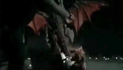 Have an animated meme template.