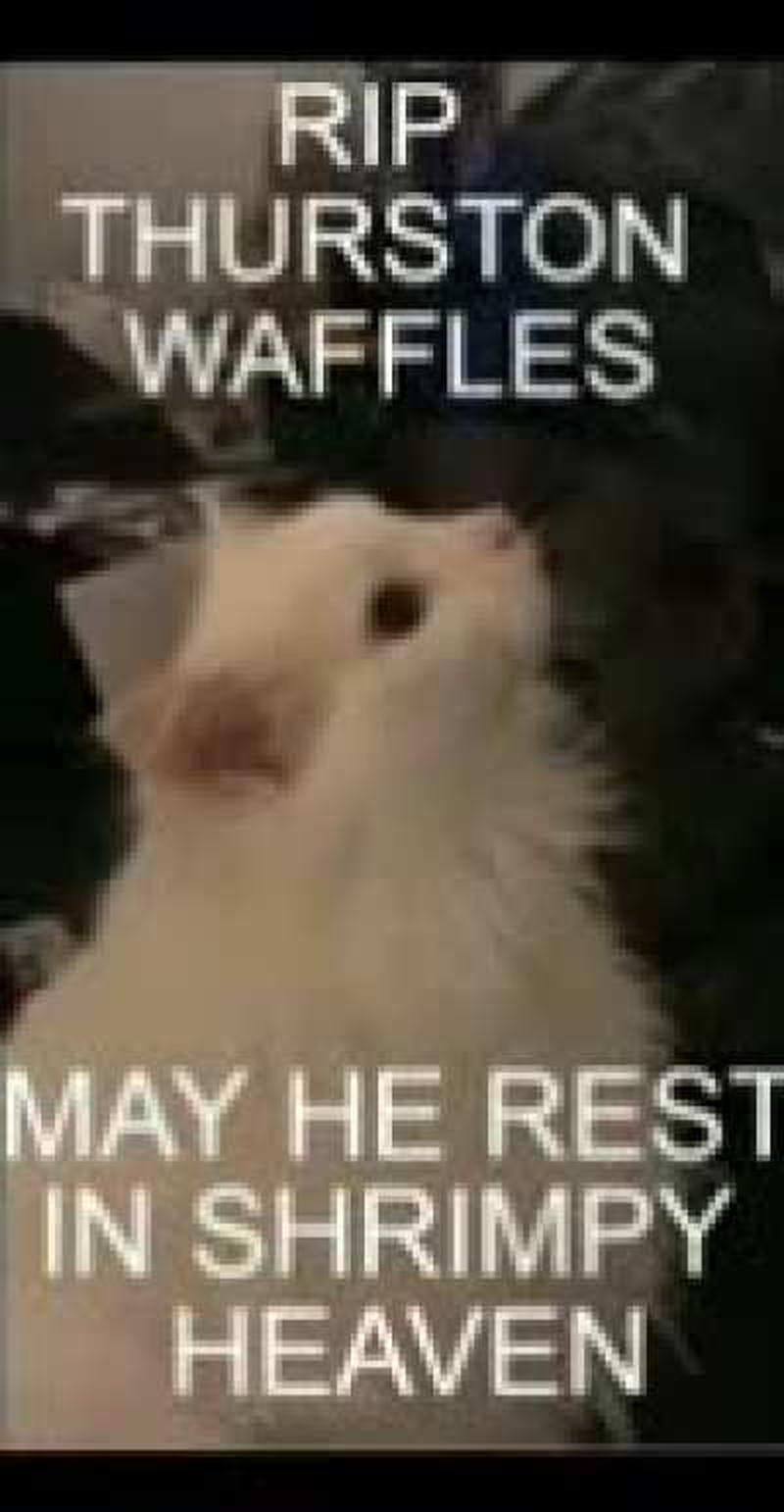 I'm 15 and this is yeet