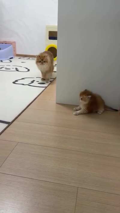 Trying hard to scare mom...