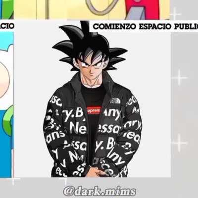 bardeo goku