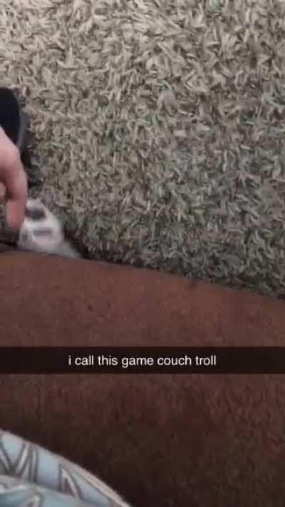 Rocket likes to play “Couch Troll.” Any other noodles play this game?