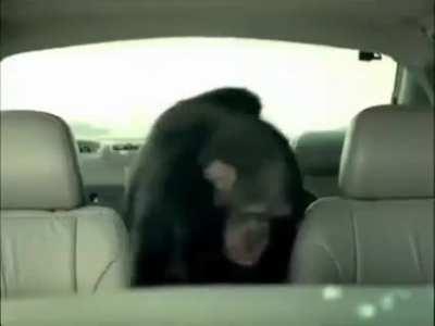 memes for the teens. pt 3