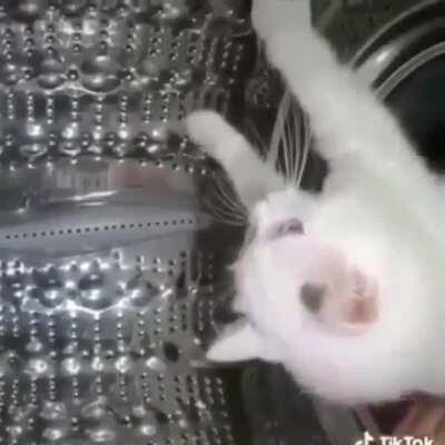 Esperando a que mati prenda stream