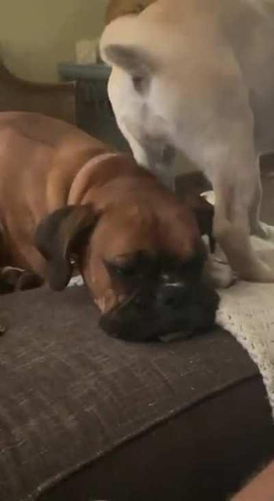 She is not having it🤧🍑