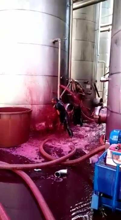 Thousands of gallons of wine lost in Sicilian winery