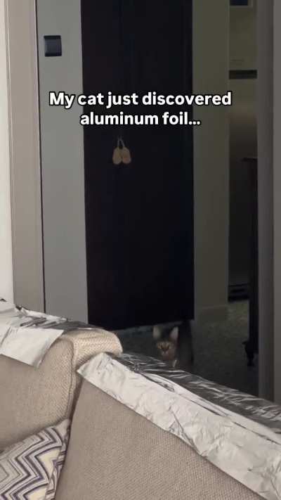 wunk has fallen for the hidden spring trap