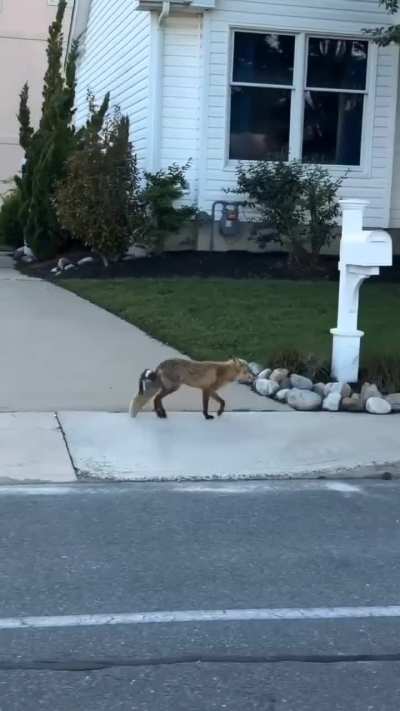 What story do they have?