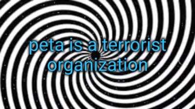 terrorist organization list