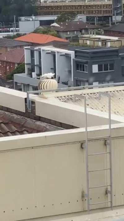 It is a Monday morning I suppose...